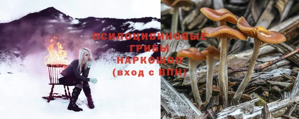 экстази Арсеньев