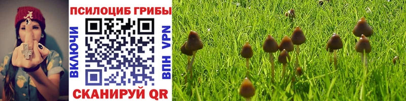 Купить закладки  Люберцы  Псилоцибиновые грибы прущие грибы 